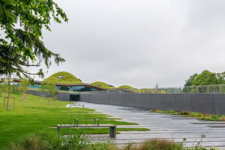 macallan distillery