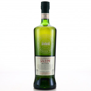 Caol Ila 1996 SMWS 19 Year Old 53 229