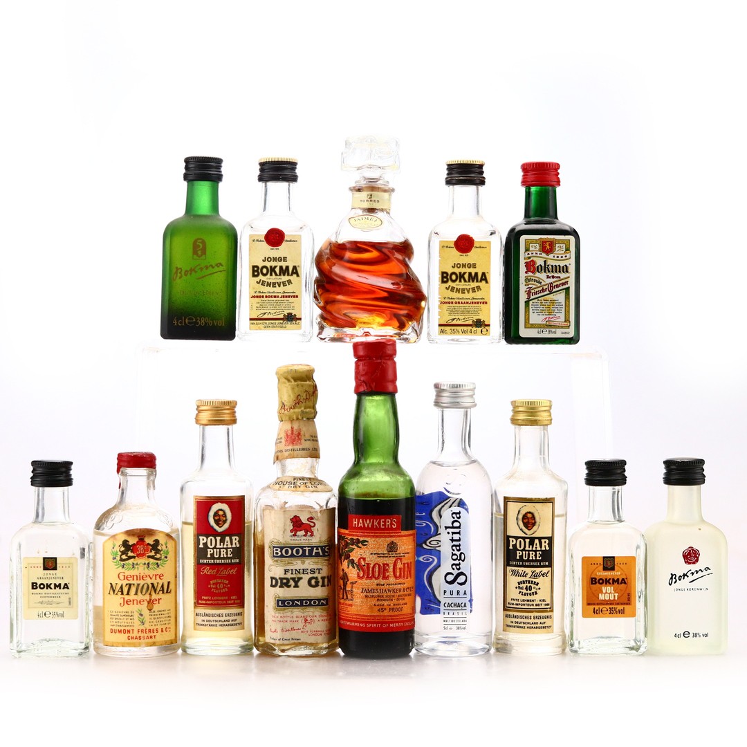 Spirit & Liqueur Miniatures x 14 Whisky Auctioneer