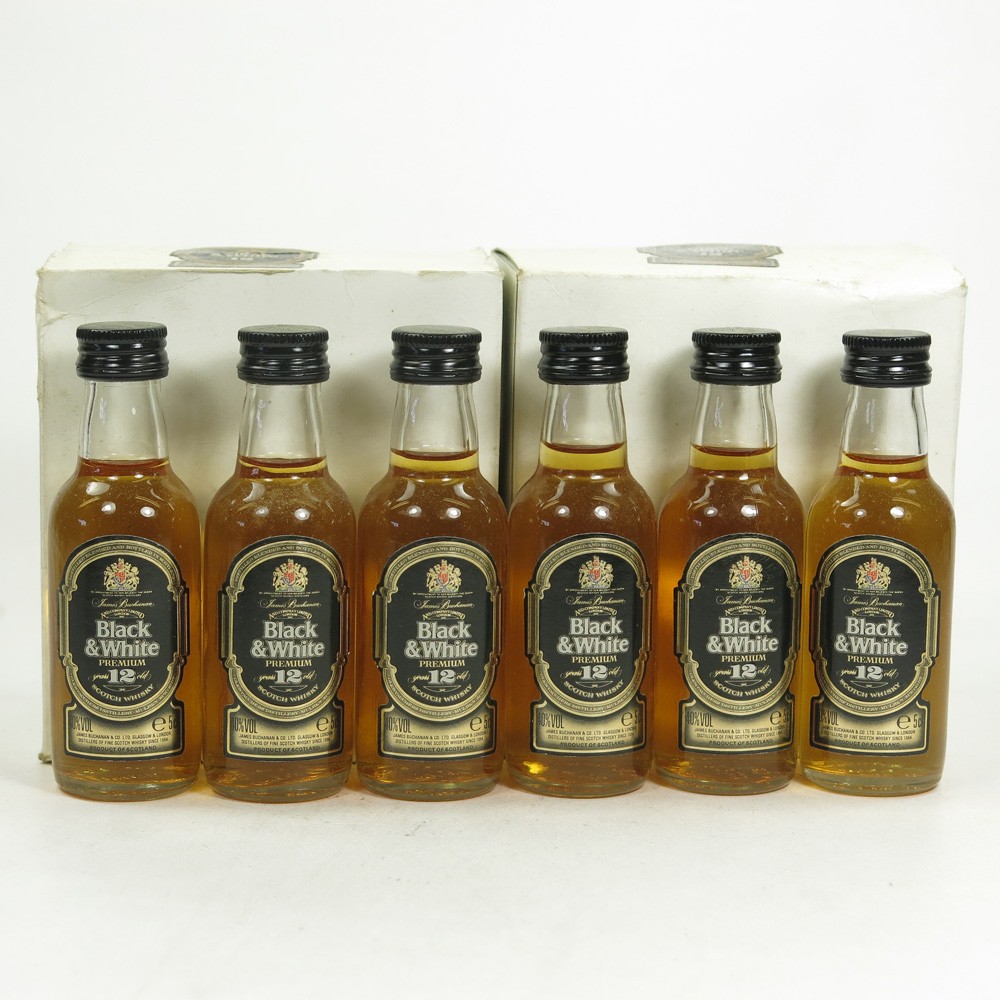 Black & White 12 Year Old 12 x 5cl Whisky Auctioneer